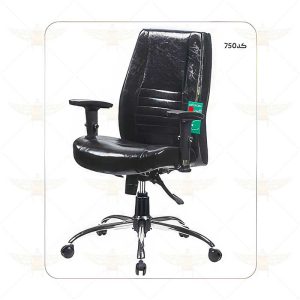 صندلی کارشناسی کد 750